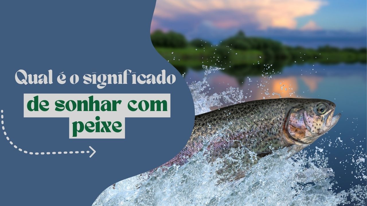 Qual é o significado de sonhar com peixe